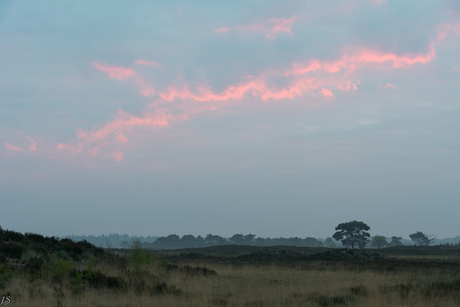 Kalmthoutse Heide