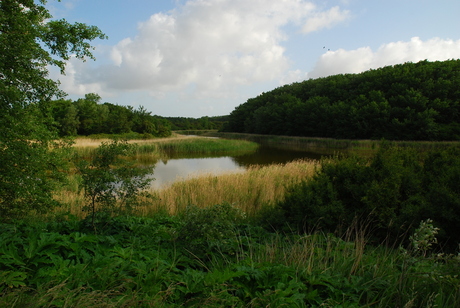 doorkijkje