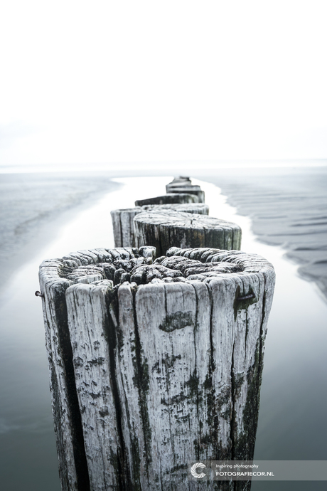 Paaltjes op het stand van Ameland