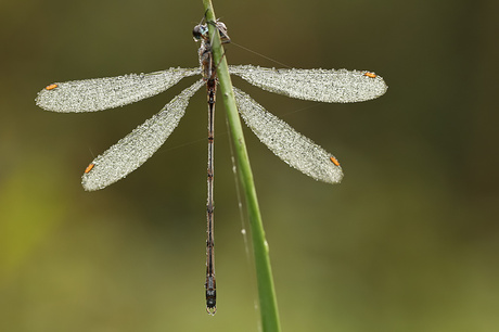 wet and cold