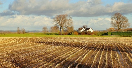 Woning in landschap.