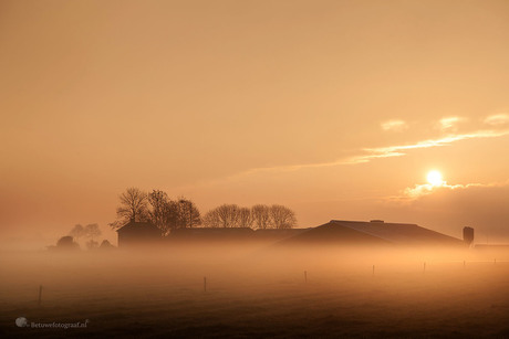 Mistige zonsopkomst vandaag in de polder ( boerderij )