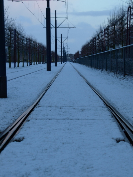 Tramlijnenspel