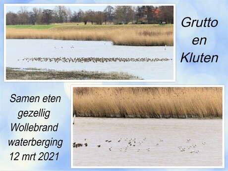 collage wollebrand Grutto en Kluten eten samen 12 mrt 2021