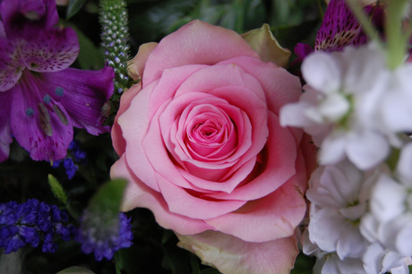 Birthday flowers