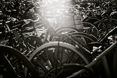 Fietsen in tegenlicht