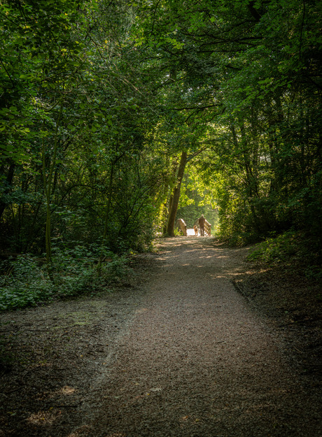man met hond op bruggetje