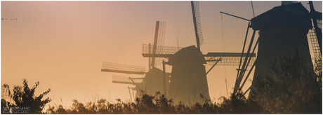 Kinderdijk in de morgen