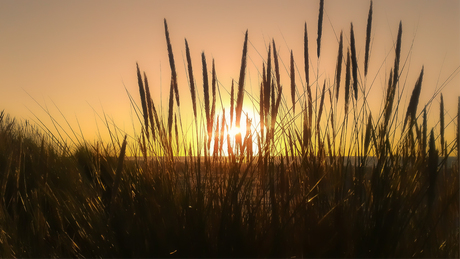 Ondergaande zon Terschelling