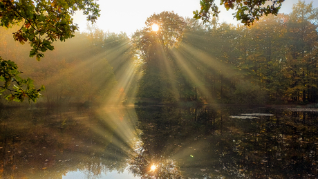 Herfst zonnestralen