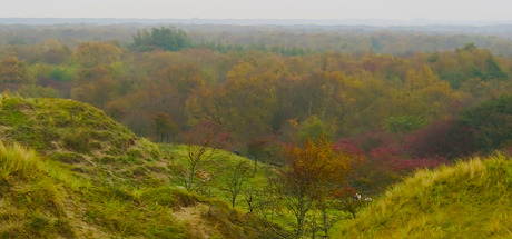 De duinen van Schiermonnikoog