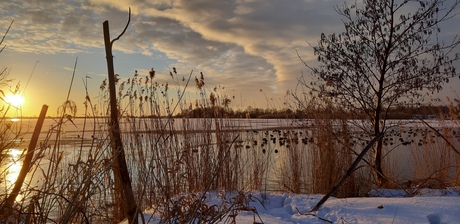 Dubbel genieten,