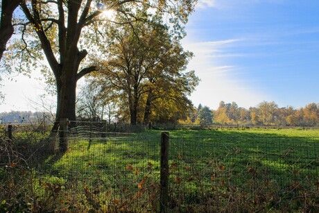 Herfstbeeld rondom Meerlo, Limburg.