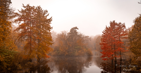 Herfstkleuren