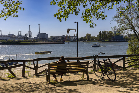 Zittend aan de Maas