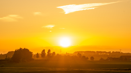 Feeling Yellow 1