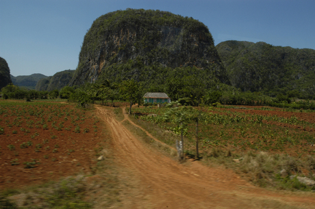 Landschap Vinales, Cuba