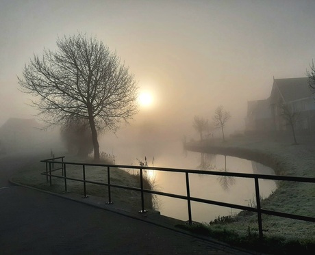 Een mistig ochtendje in november 