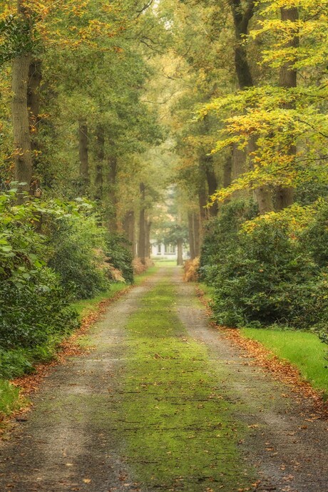 Herfstlaantje