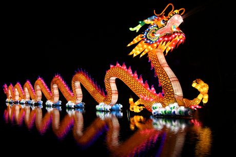 China Light Rotterdam - Chinese draak