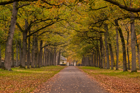 Koningslaan