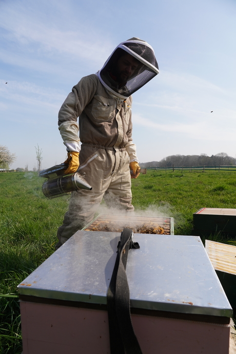 Imker druk bezig met zijn hobby
