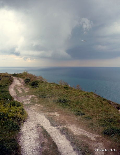 cliffs of Dover