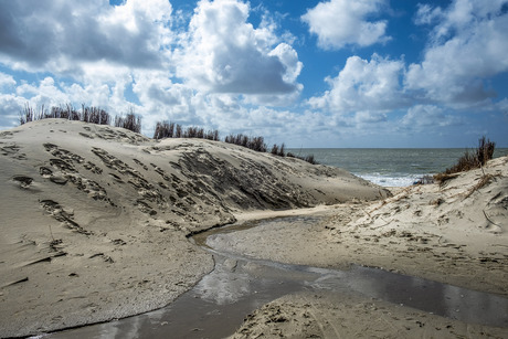 Naar het strand...