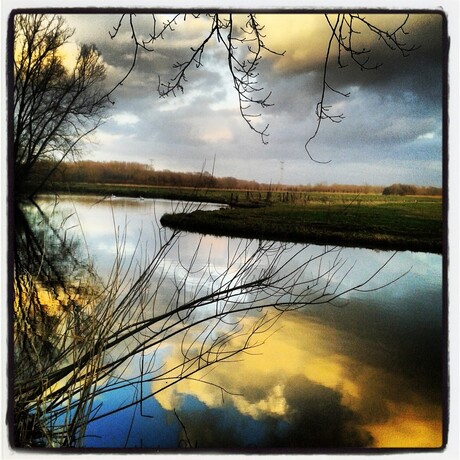 hollandse biesbosch