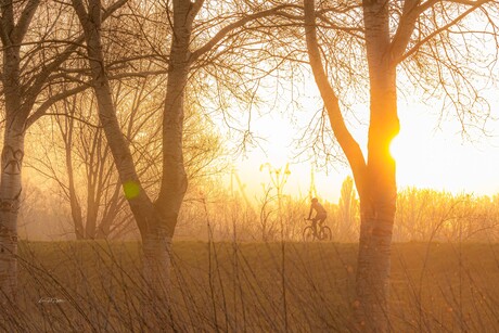 Zonsopgang 