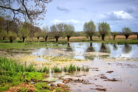 Sterrebos 's-Hertogenbosch 