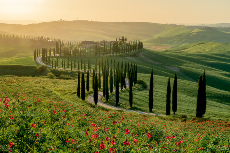 Zonsondergang in Toscany