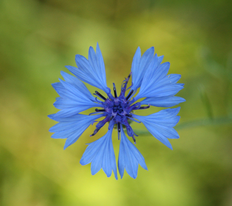 Natuurschoon