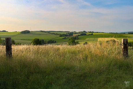 Landschap