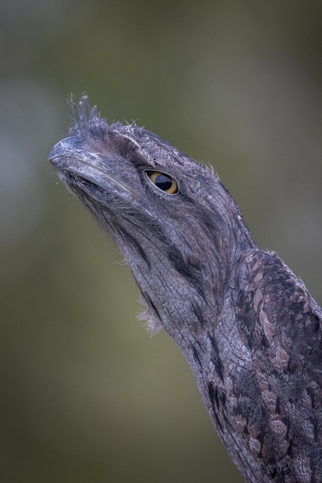 Uit een ander tijdperk…