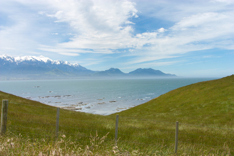 Nieuw-Zeelandse kust