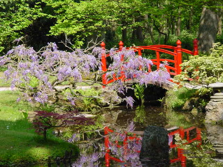 Japanse tuin