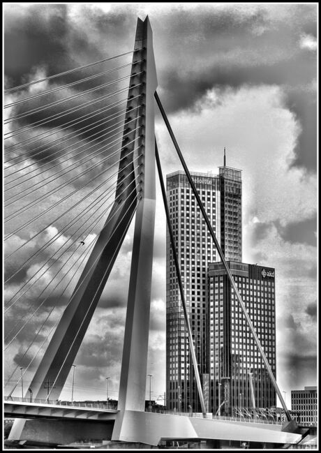 Image5Erasmusbrug 2