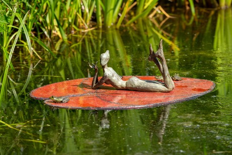 Kikker bij beeld