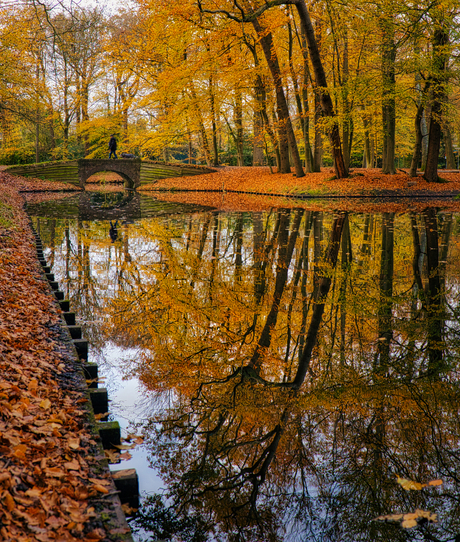 Herfst reflectie