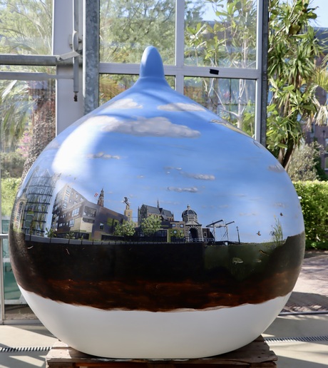 Reuze bloembol