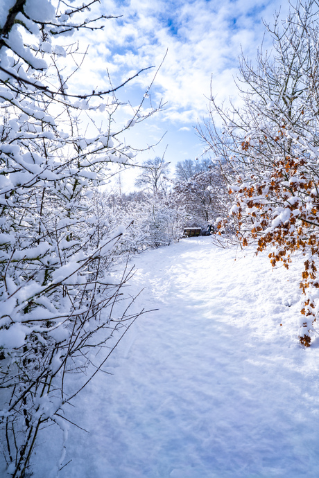 Eindelijk... een bankje. 