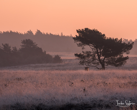 Even oogcontact in de kou