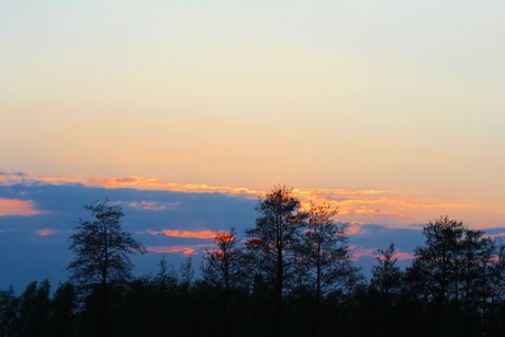 Natuur skyline