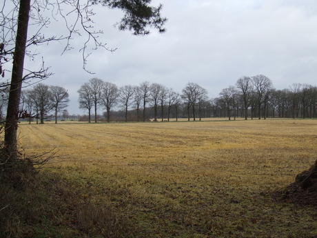 landschap in drenthe