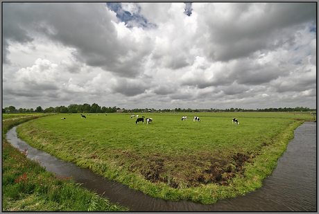 Hollandse polder