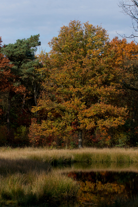 herfst