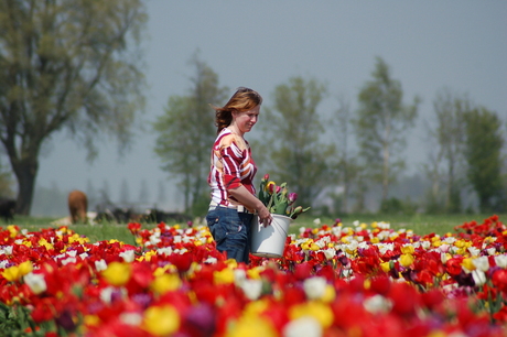 Bloemenmeisje