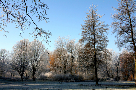 Winter in het park 1