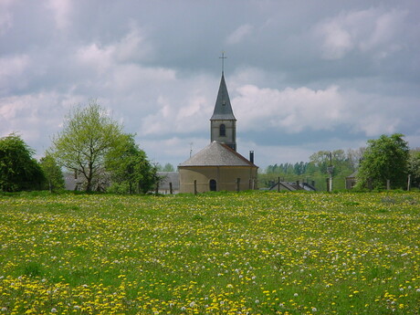 bloemetjes